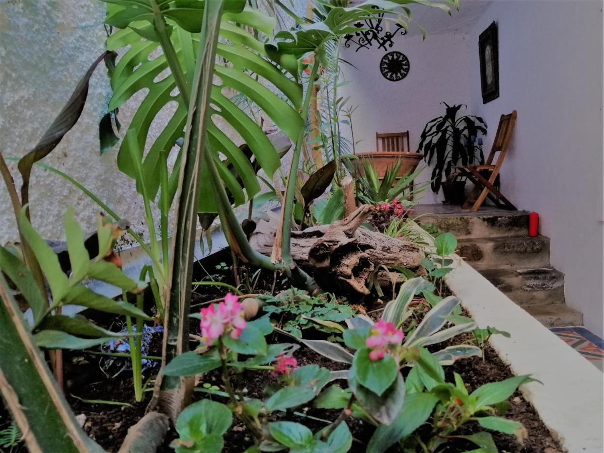 Bayview House Apartment Angra do Heroísmo Екстериор снимка